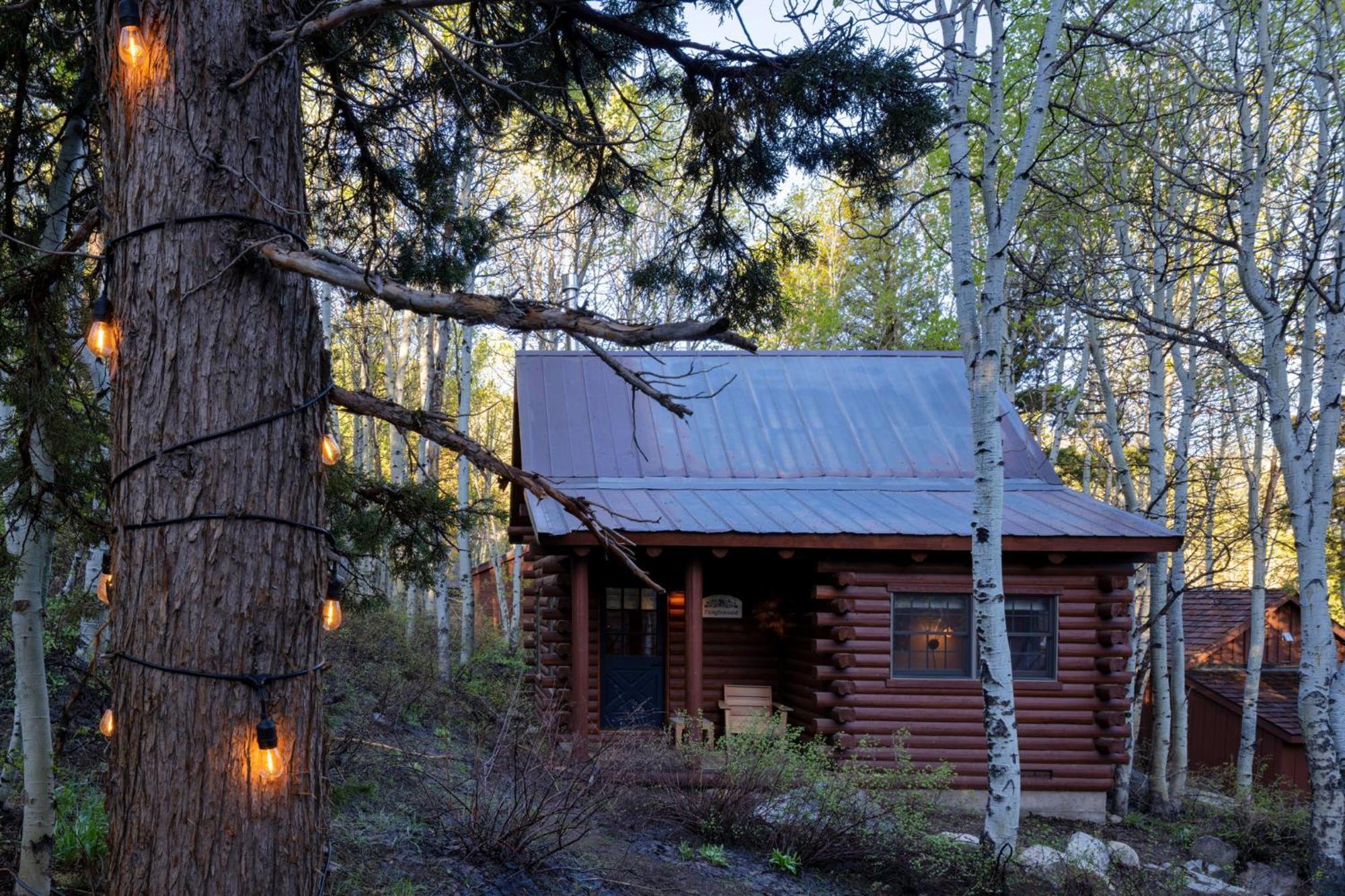 Desolation Hotel Hope Valley Markleeville Номер фото