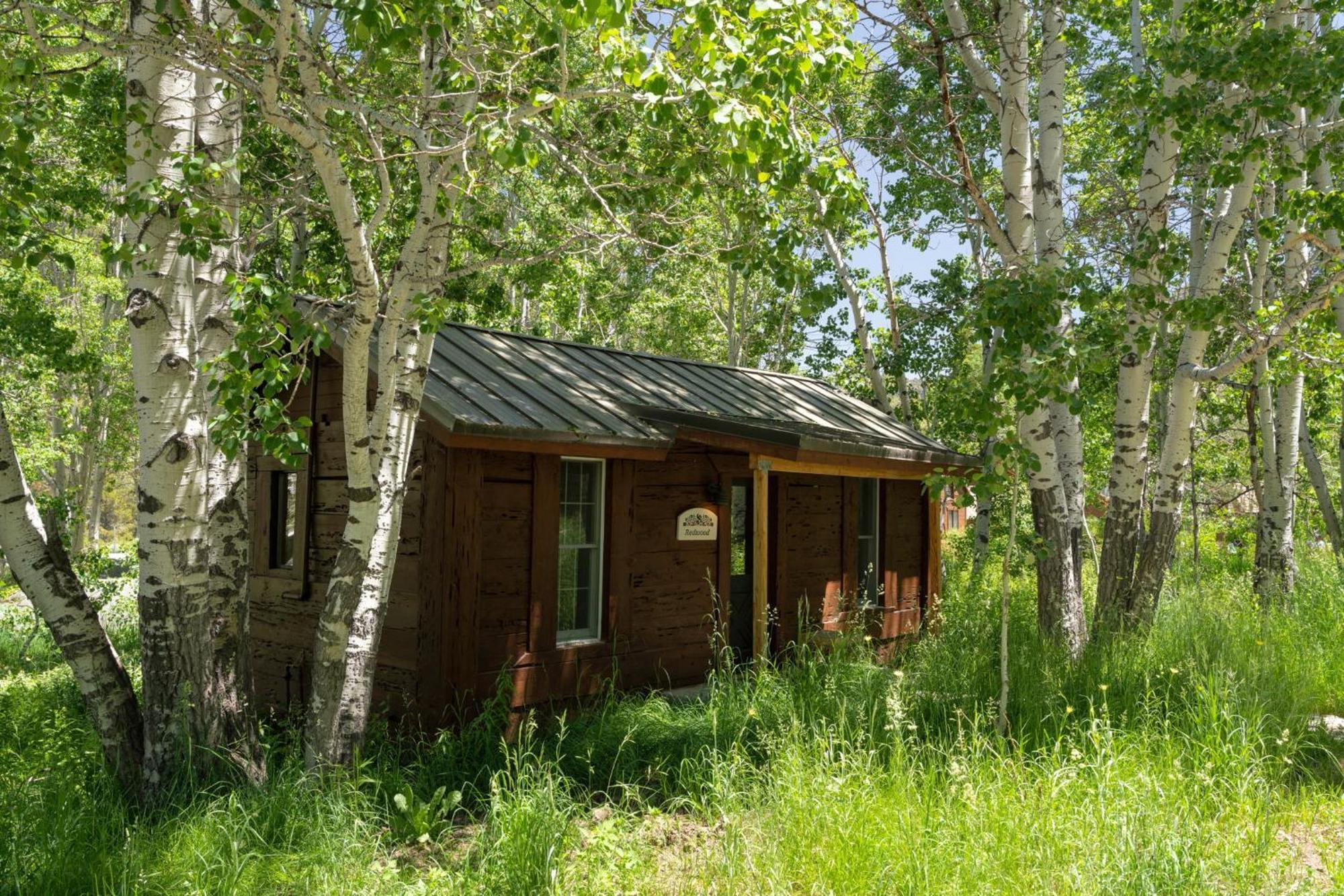 Desolation Hotel Hope Valley Markleeville Номер фото